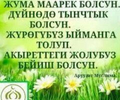 первомайская метрого , койка местага 3 бала алабыз