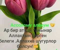 первомайская метрого 3 балага койка место берилет