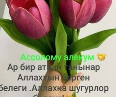 первомайская метрого, койка местага 3 бала алабыз