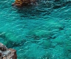 фитнес клубка бир кыз керек ден иштегени
айлык 45000 график 6/1 8/8 чейин постаянно иштегени