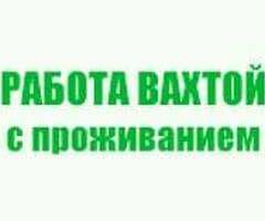 Упаковщицы ЖЕНЩИНЫ ВАХТА КАШИРА