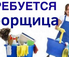 Мобильные уборщицы