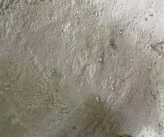 Разнорабочий