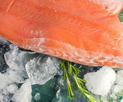 Рыбник на производство