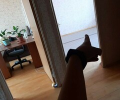 койка места
