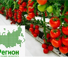 Сборщик упаковщик