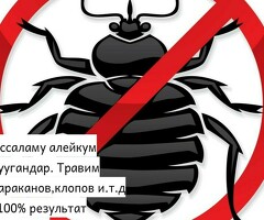 КЛОП ТАРАКАН ДАРЫЛАЙБЫЗ ГАРАНТИЯ 6-АЙ СЕРТИФИКАТ ДОГОВОР БАРЫ ОФИЦИАЛЬНО