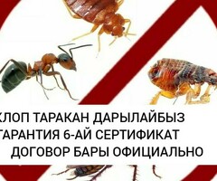 ДИЗИНФЕКСИЯ КЛОП ТАРАКАН ДАРЫЛАЙБЫЗ ГАРАНТИЯ 6-АЙ СЕРТИФИКАТ ДОГОВОР БАРЫ ОФИЦИАЛЬНО