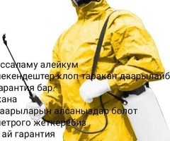 Таракан дарылайбыз 89917654447