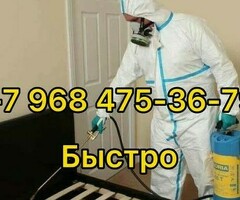 ДЕЗИНФЕКЦИЯ