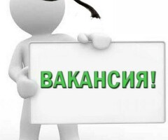 Ежедневные выплаты