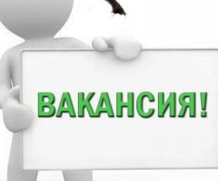 Работа Ежедневные выплаты