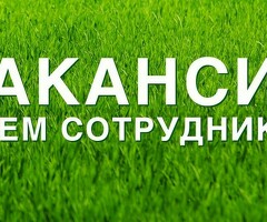 Уборщица-посудомойщица