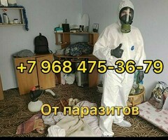 АССАЛОМУ АЛЕЙКУМ МЕКЕНДЕШТЕР ДЕЗИНФЕКЦИЯ КЛОП И ТАРАКАН ДАРЫЛАЙБЫЗ