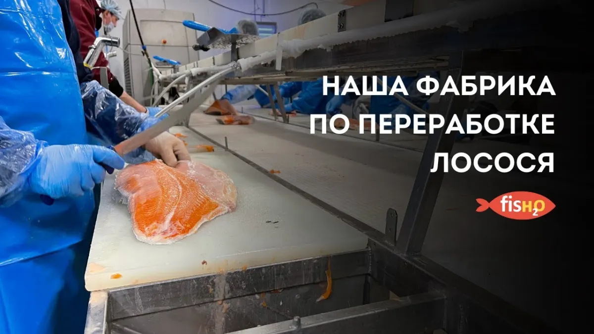 **Рыбообработчики на предприятие с проживанием и